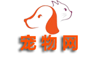 宠物网